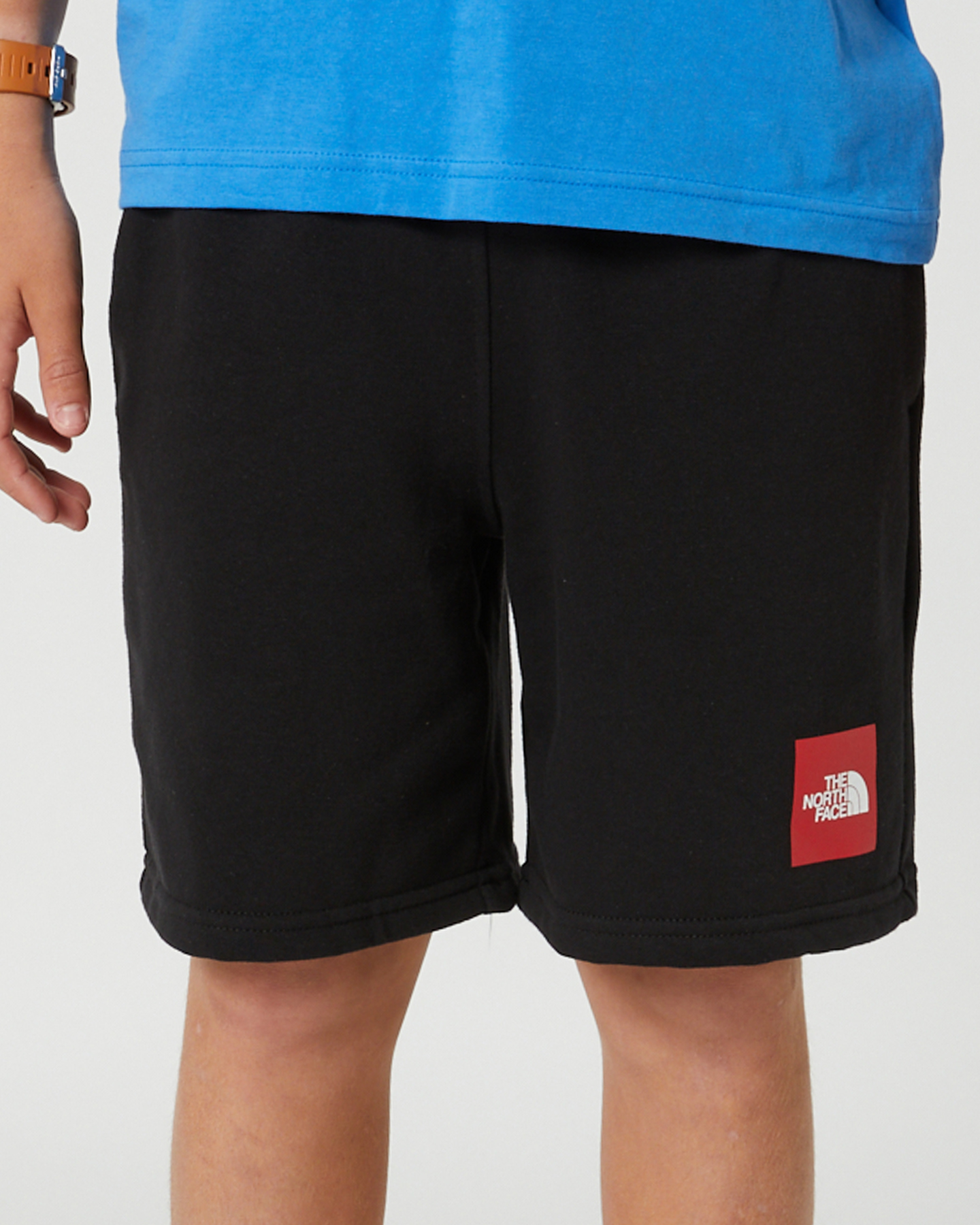 North face cheap youth shorts