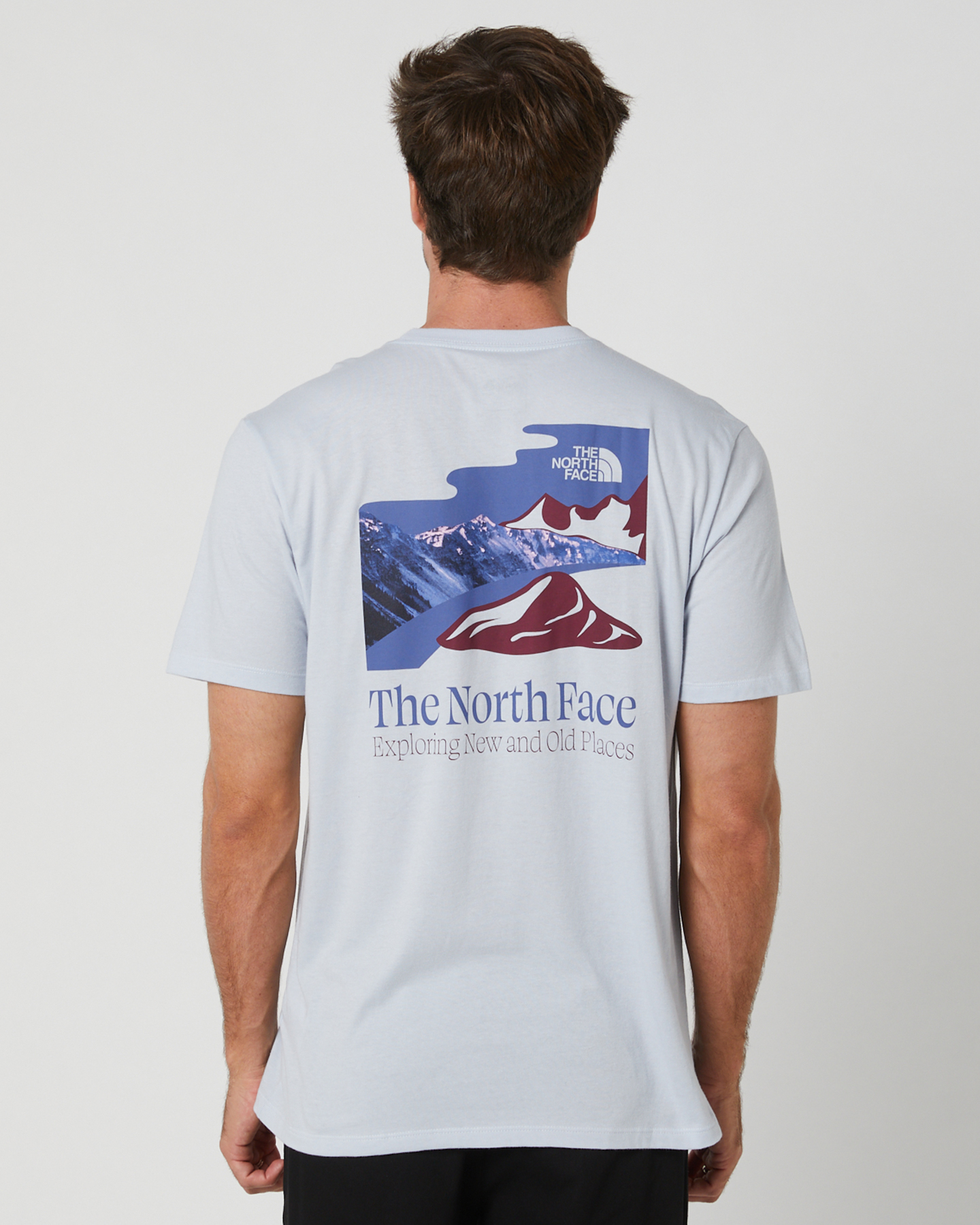 The North Face Mens Short-Sleeve Places We Love Tee - Dusty Periwinkle